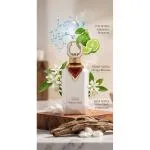 Noble Cedar extrato de perfume unissexo 100 ml