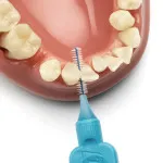 Escovas interdentais Normal 0,6 mm 8 unidades