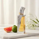 Obsidian extrato de perfume unissex 100 ml