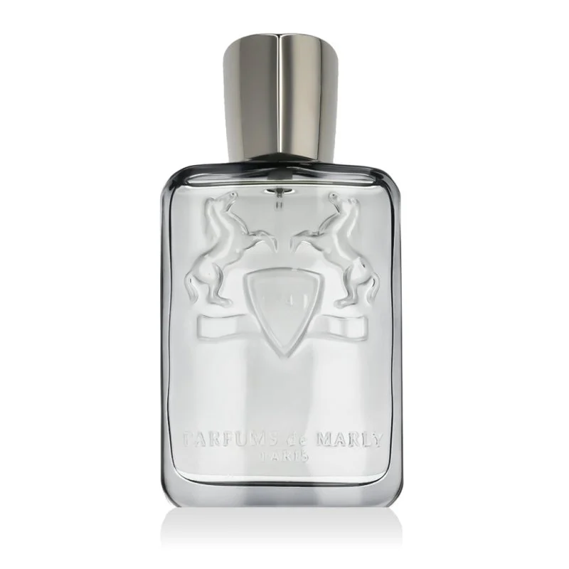 Castley Eau de Parfum para homem 125 ml