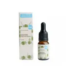 Kvitok Sérum Facial - Gotu Kola (Umbigo Asiático) 10ml