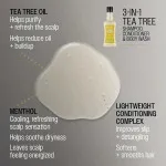 3 em 1 Tea Tree Shampoo-Condicionador-Gel de Banho shampoo para homens 3 em 1 para homens 350 ml