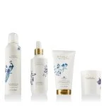 Amsterdam Collection Coffret Grande