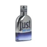 Just Cavalli Him 2013 eau de toilette para homem 30 ml