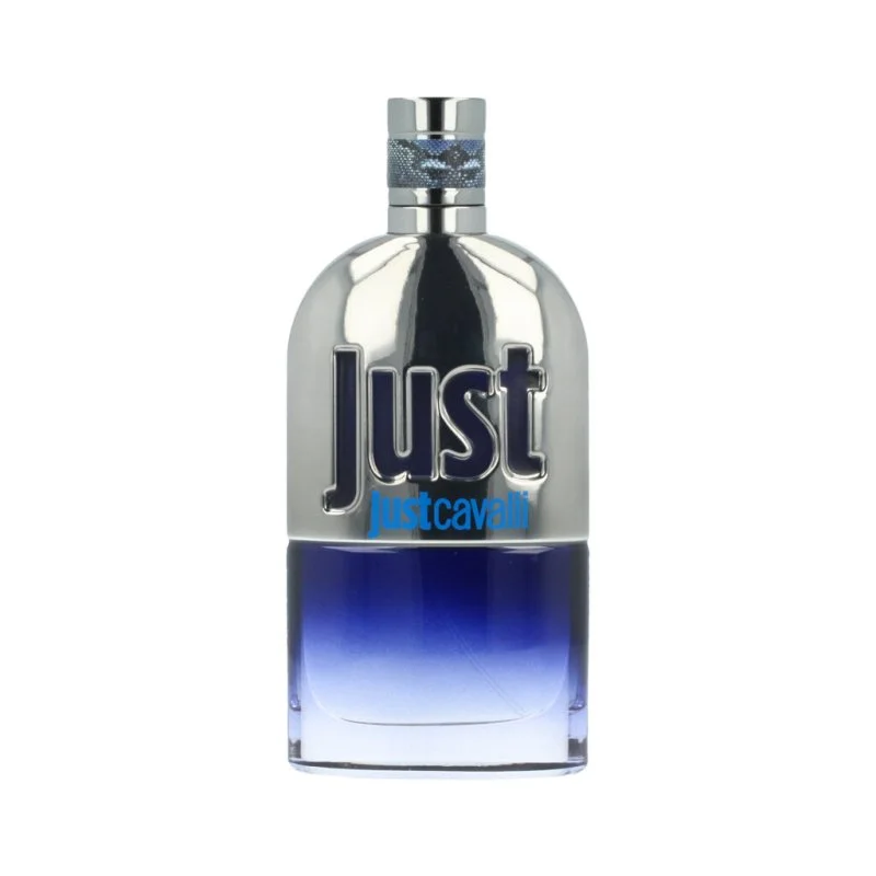 Just Cavalli Him 2013 eau de toilette para homens 90 ml