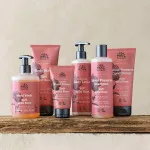 Urtekram Champô Rosa Selvagem 500ml BIO