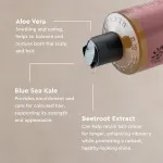 Urtekram Champô Rosa Selvagem 500ml BIO