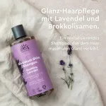 Urtekram Champô suavizante de lavanda 500ml BIO