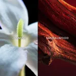 Samsara eau de toilette para mulheres 75 ml