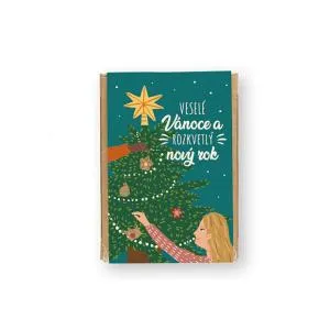 Blossombs Bombas de sementes - Conjunto de mini prendas - Natal Mágico (4 peças)