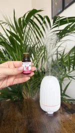 Taoasis Baldini Conjunto de aromas All the Love BIO (5 ml) - fragrância harmonizante com difusor de pedra