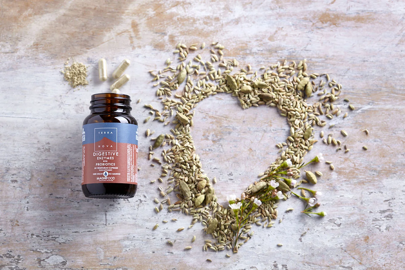 Terranova Health Enzimas Digestivas e Probióticos (50 cápsulas) - enriquecidos com funcho, gengibre e bardana