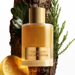 Água de perfume unissex Tom Ford Costa Azzura 100 ml