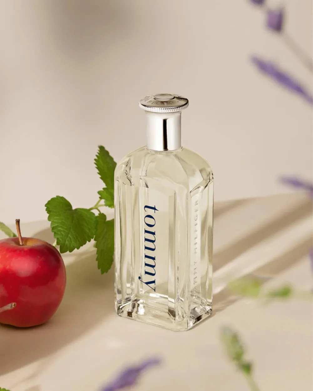 Tommy eau de toilette 100 ml para homens