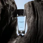 Touch for Men eau de toilette para homens 100 ml