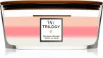Vela perfumada WoodWick Trilogy Blooming Orchard com pavio de madeira 453,6 g