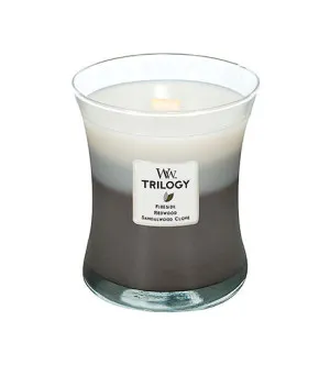Vela perfumada WoodWick Warm Woods com pavio de madeira 275 g