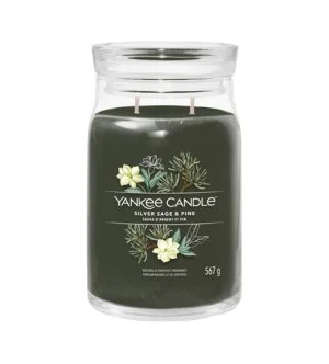 Yankee Candle Silver Sage & Pine vela perfumada grande 567 g