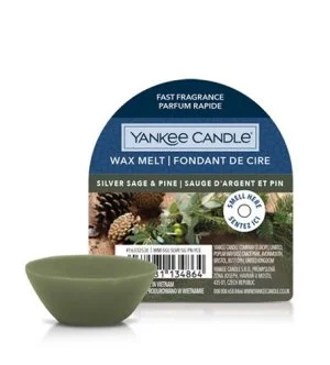 Yankee Candle Silver Sage & Pine cera perfumada 22 g