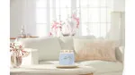 Clean Cotton vela assinatura média 368 g