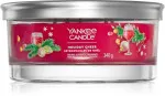 Holiday Cheer signature tumbler 5 pavios 340 g