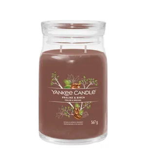 Yankee Candle Praline & Birch assinatura vela grande 567 g