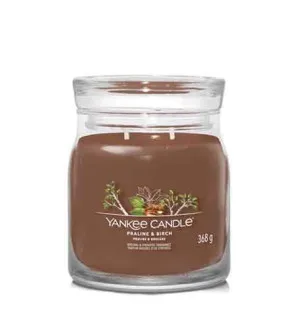 Yankee Candle Praline & Birch vela assinatura média 368 g