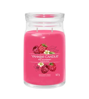 Yankee Candle Red Raspberry assinatura vela grande 567 g