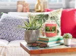 Vela perfumada Yankee Candle The Last Paradise 411 g