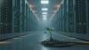 # Como a internet lenta afeta a pegada de carbono