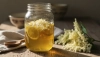 Aromático xarope de sabugueiro sem cozimento graças à maceração a frio