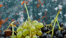 O que as grávidas devem saber sobre uvas