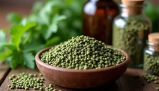 Como usar corretamente as sementes de urtiga para a sua saúde