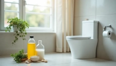 A pedra urinária no vaso sanitário é um problema que você pode resolver facilmente