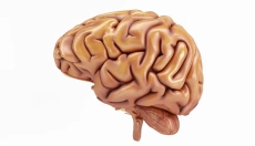 Nootrópicos: Como melhorar o cérebro e viver plenamente?