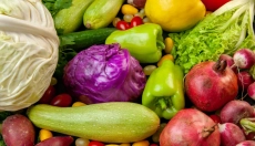 Digestão saudável graças às enzimas pancreáticas