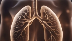 Como as clamídias pulmonares ameaçam nossa saúde e como tratá-las
